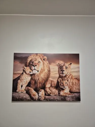 Quadro