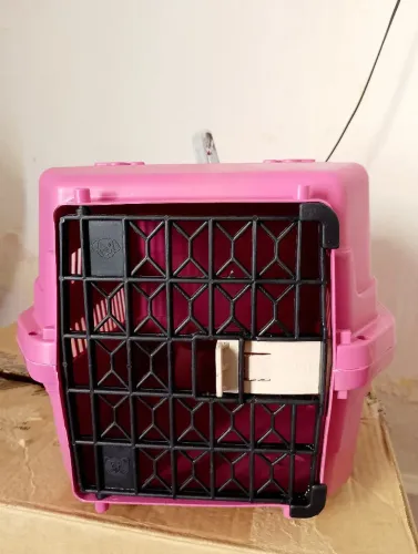Para transportar animais de pequeno porte 