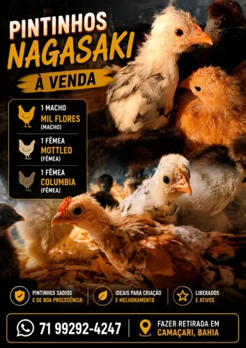 Galinha Nagasaki