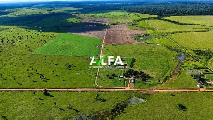 Fazenda Produtiva à Venda 480 Hectares, à venda por R$ 12.000.000 - Zona Rural - Triunfo/