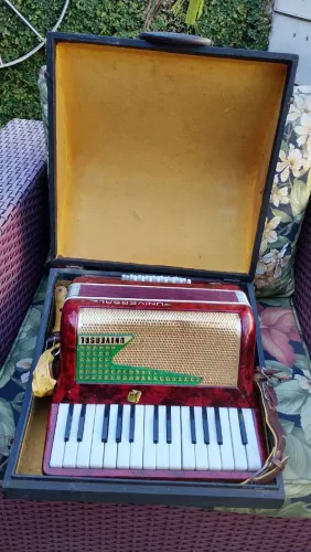 Acordeon universal 32 baixos relíquia