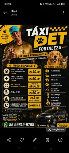 Táxi pet