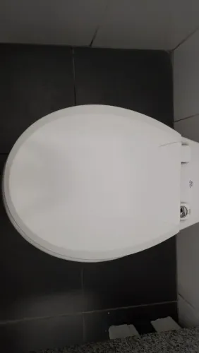 Vazo sanitário