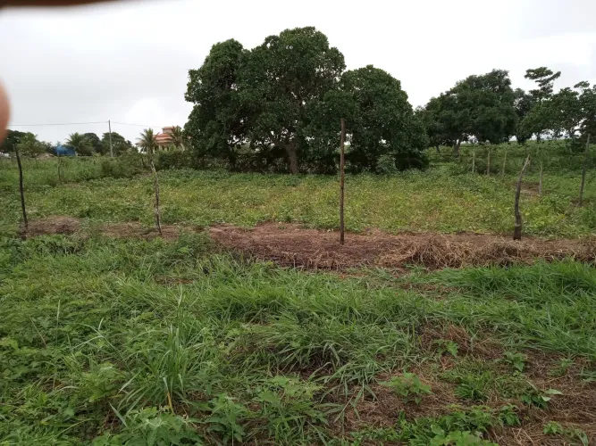Terreno 20x20 em Retiro - Coração de Maria