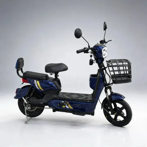 Moto Elétrica 800W