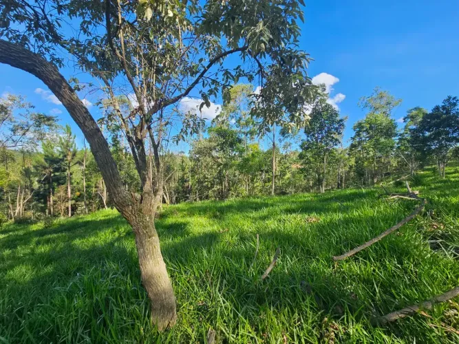 Terreno com lago próximo a Juquitiba
