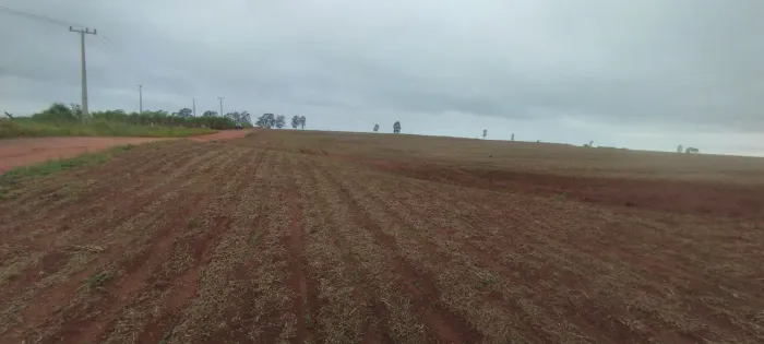 Área de 20.000m2,frente para Estrada Municipal, Presidente Castelo Branco-Pr,R$ 230.000,00
