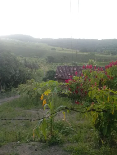 Sítio com 6 e meio elhequetario de terra pra vender 