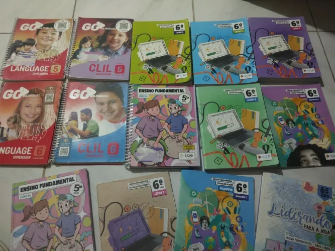 Coleção Livros 6º Ano SAE Digital + GO Bilingual | Excelente Estado | Fortaleza
