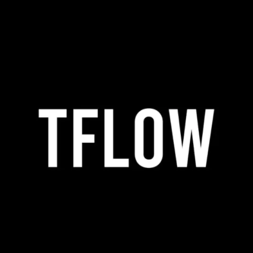 Repasse de Franquia TFlow Moda Masculina (Modelo Ouro) em Águas Claras - DF