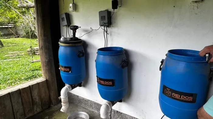 Alimentador automático