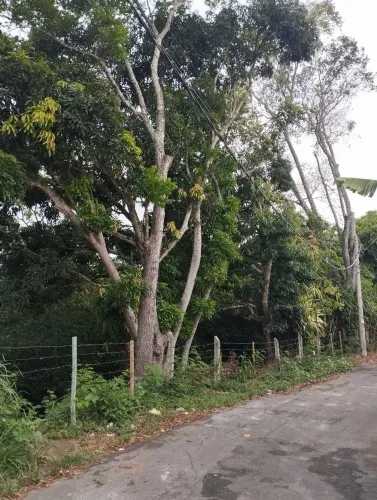 Chácara Serra Dourada Escriturada e registrada