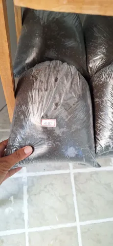 Substrato completo para plantas variadas