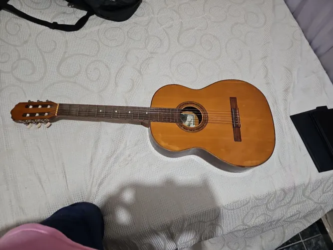 Violão Giannini
