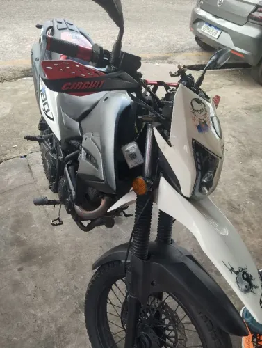 Bull em ótimo estado