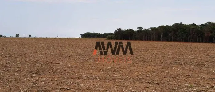 Fazenda com 2 dormitórios à venda, 387200 m² por R$ 4.000.000,00 - Zona Rural - Americano 