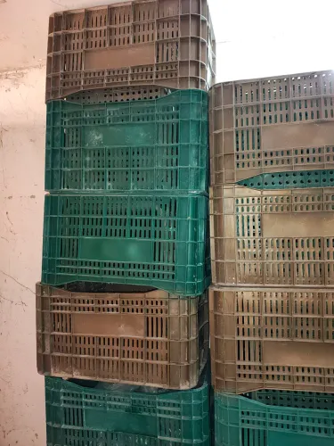 Caixa Hortifruti plástica