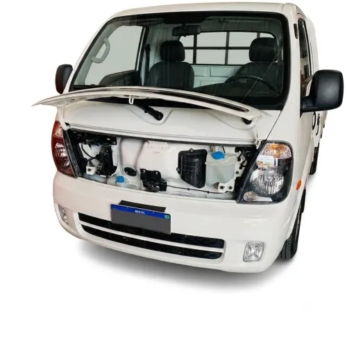 Kia Motors Bongo K-2500 2.5 4X2 TB Diesel 2020