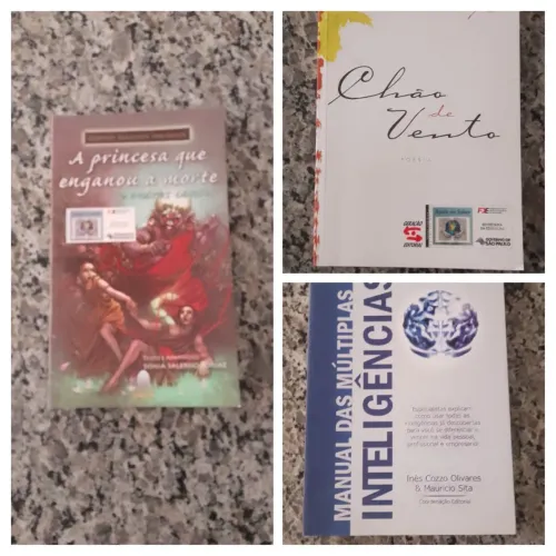Livros Chão de vento,A princesa que enganou a morte e Manual das Múltiplas inteligências 