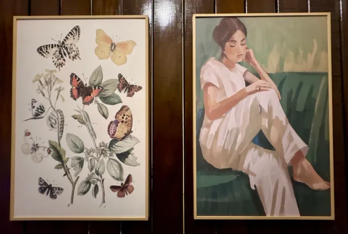 Quadro Borboleta e Mulher Retrô