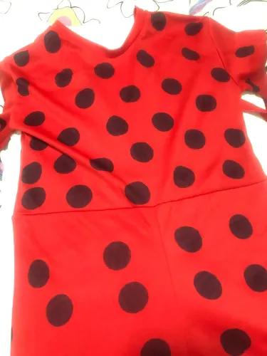Fantasia Lady Bug