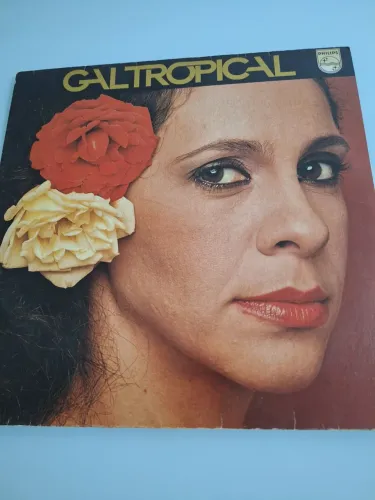 LPs variados nacionais e internacionais