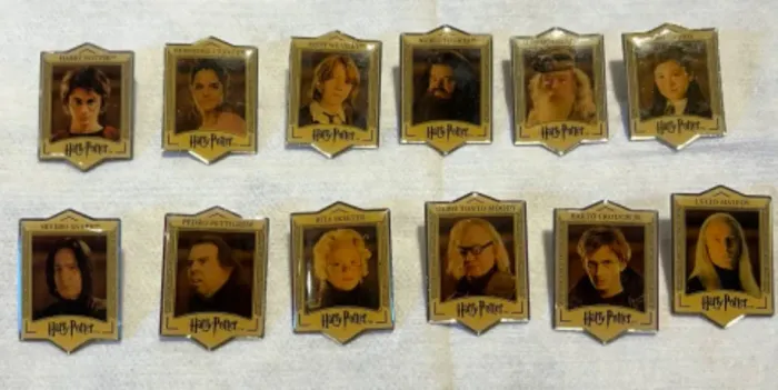 Pin Harry Potter Activa