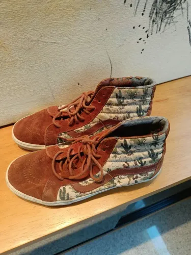 Vans sk8