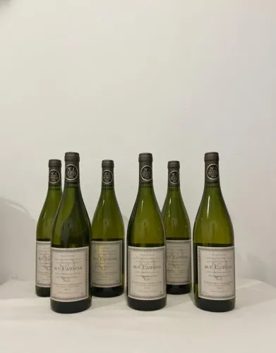 Vinho Branco Argentino D.V. Catena Chardonnay 2023