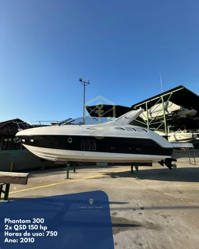 Phantom 300 2010