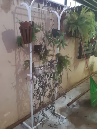 Expositor para plantas orquídeas RS 149.00 2m altura entrego 