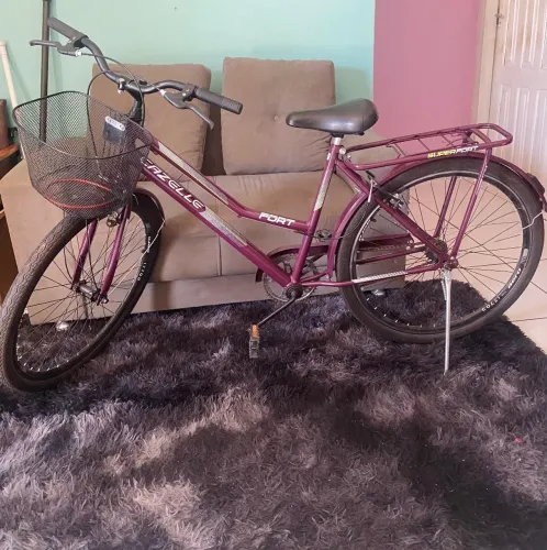 Bicicleta com cestinha e garupa