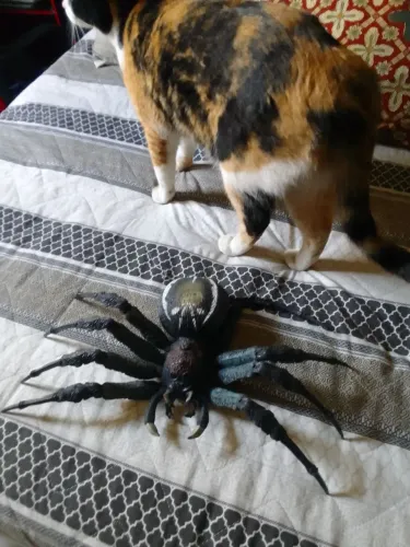Aranha Gigante Decorativa - Perfeita para Colecionadores!