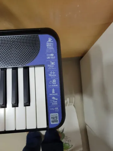 Teclado impecável, pouco usado. Incluso pedal, cavalete e capa protetora.