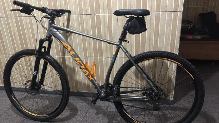 Bicicleta audax