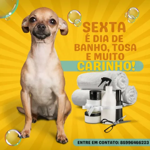 Banho e tosa profissional