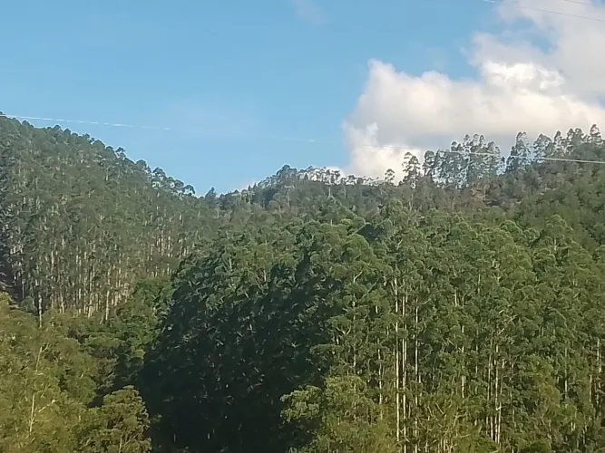 Propriedade pedras azul 15 Alqueires Aracê 