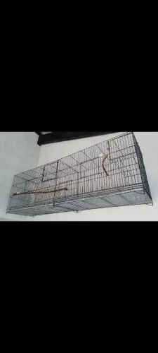 Gaiola/ viveiro/ voador 