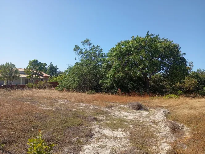 Terreno no Beberibe 12x36  negócio!