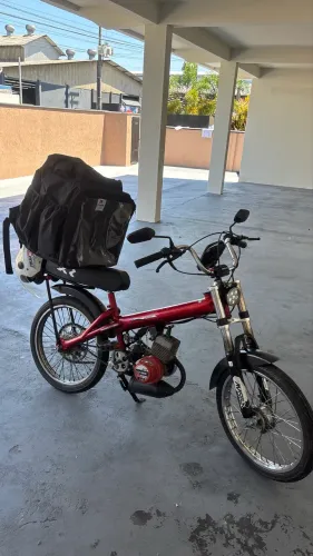 Mobilete ciclor motor 