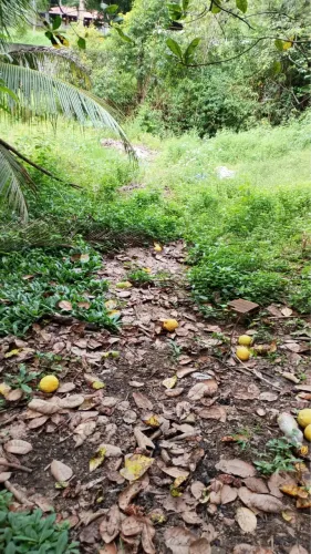 Terreno no Residencial Rio Preto Para Venda