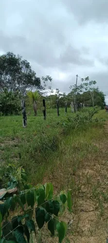 Sítio à venda br-319 Km 110