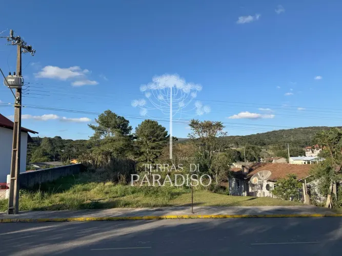 Terreno urbano com 1.165 m² no Centro de Campo Alegre - SC