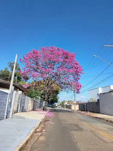 Disk limpezas de calçadas!
