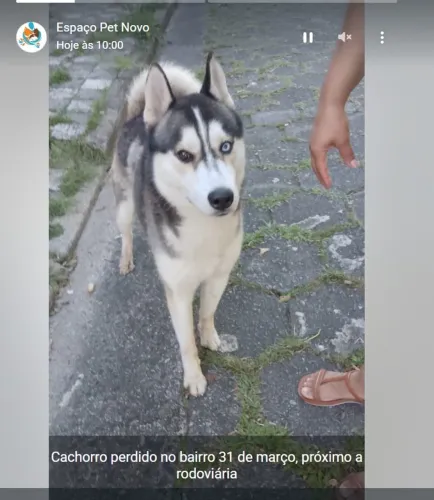 Doação