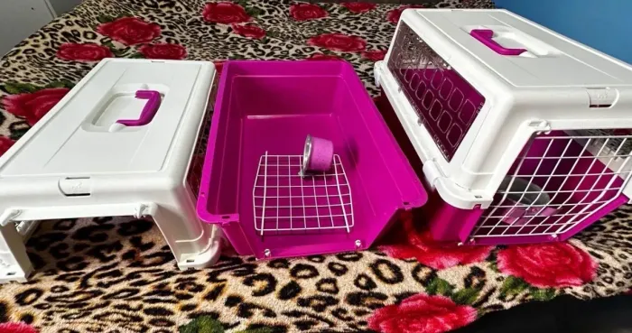 Vendo duas caixas de transporte para pets de pequeno e médio porte cada uma por 200 reais