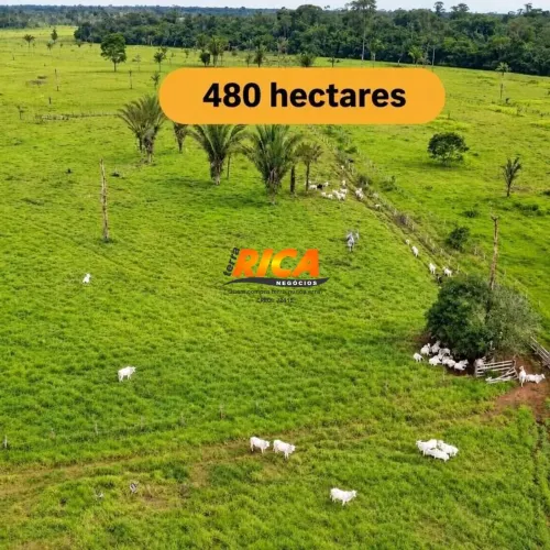 Fazenda a 37 km de Porto Velho/RO.