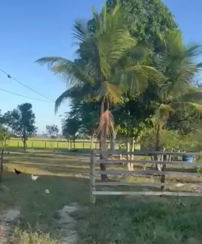 Fazendinha plana à 8 minutos do centro da cidade. Com casa, pasto, curral, poço artesiano