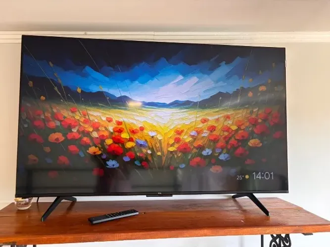 TV TCL 50 POLEGADAS 4MESES DE USO 