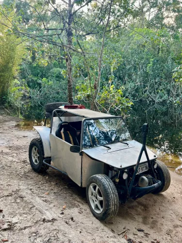 Volkswagen Buggy 1.6 8V Gasolina 2P Manual 1980